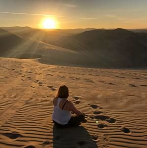 Meet your Posher, Phoebe